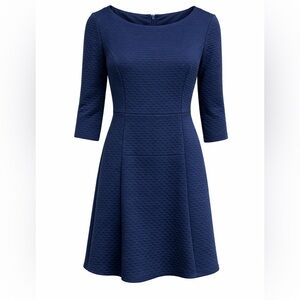 Vince Camuto Textured Navy Fit & Flare Dress | 3/4 Sleeve | Size 10